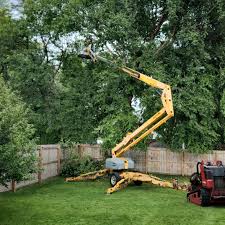 Best Emergency Tree Removal  in Los Alamitos, CA